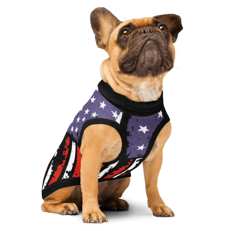 Dog wearing a flag-themed sweater on a white background