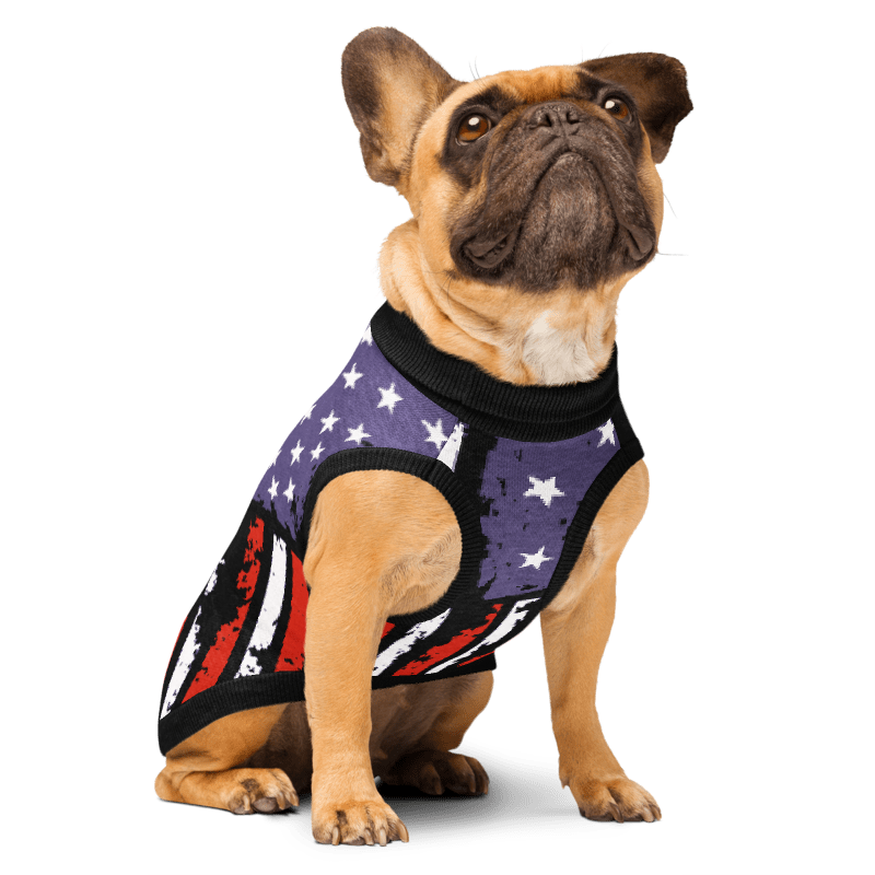 Dog wearing a flag-themed sweater on a white background
