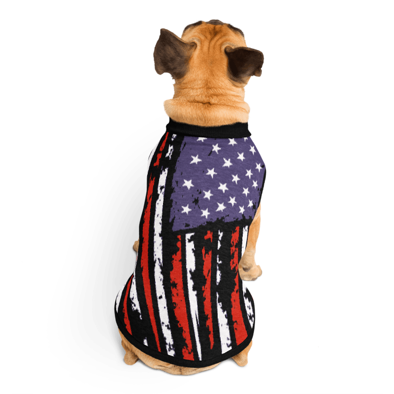Dog wearing an American flag-themed pet outfit on a white background