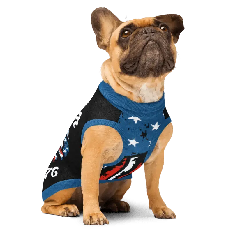 Dog wearing a blue and black sweater with star pattern on a white background